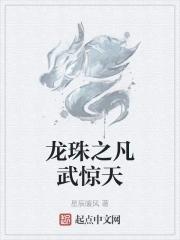 龙珠之凡武惊天TXT