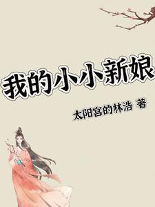 我的小小新娘普通话版
