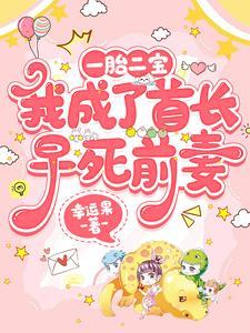 一胎两宝首席爱妻入骨