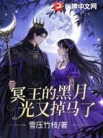 冥王的宠妻大马哈txt